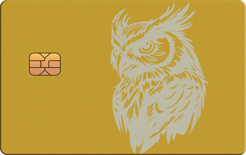 Owl 3